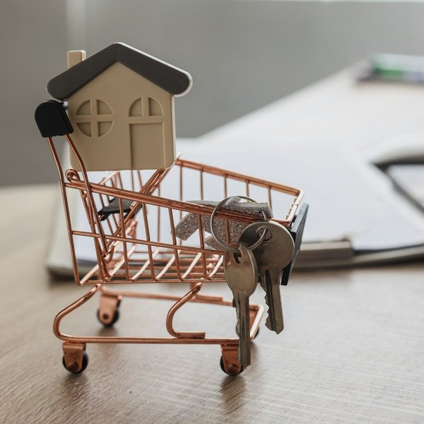 Découvrez www.la maison des scpi.fr : investissez en immobilier facilement