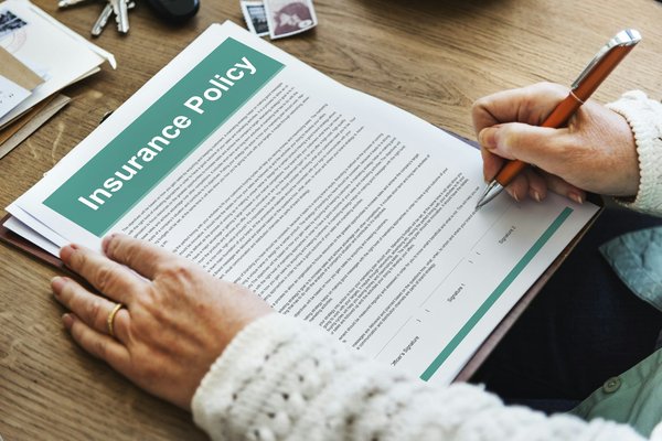 Comprendre la mutuelle assurance chat.fr : choisir le bon plan pour votre félin