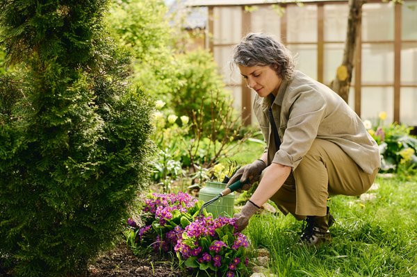 Optimisez votre jardin pour une récolte abondante et durable